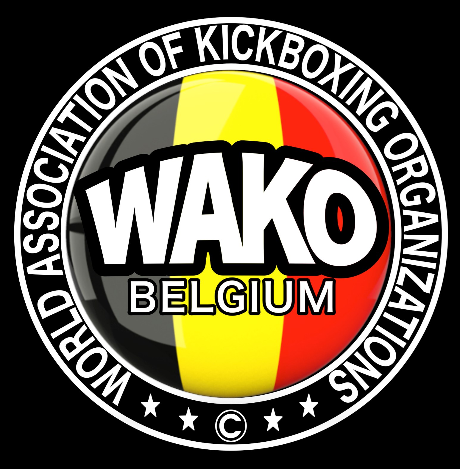 Kickboxing WAKO Belgium