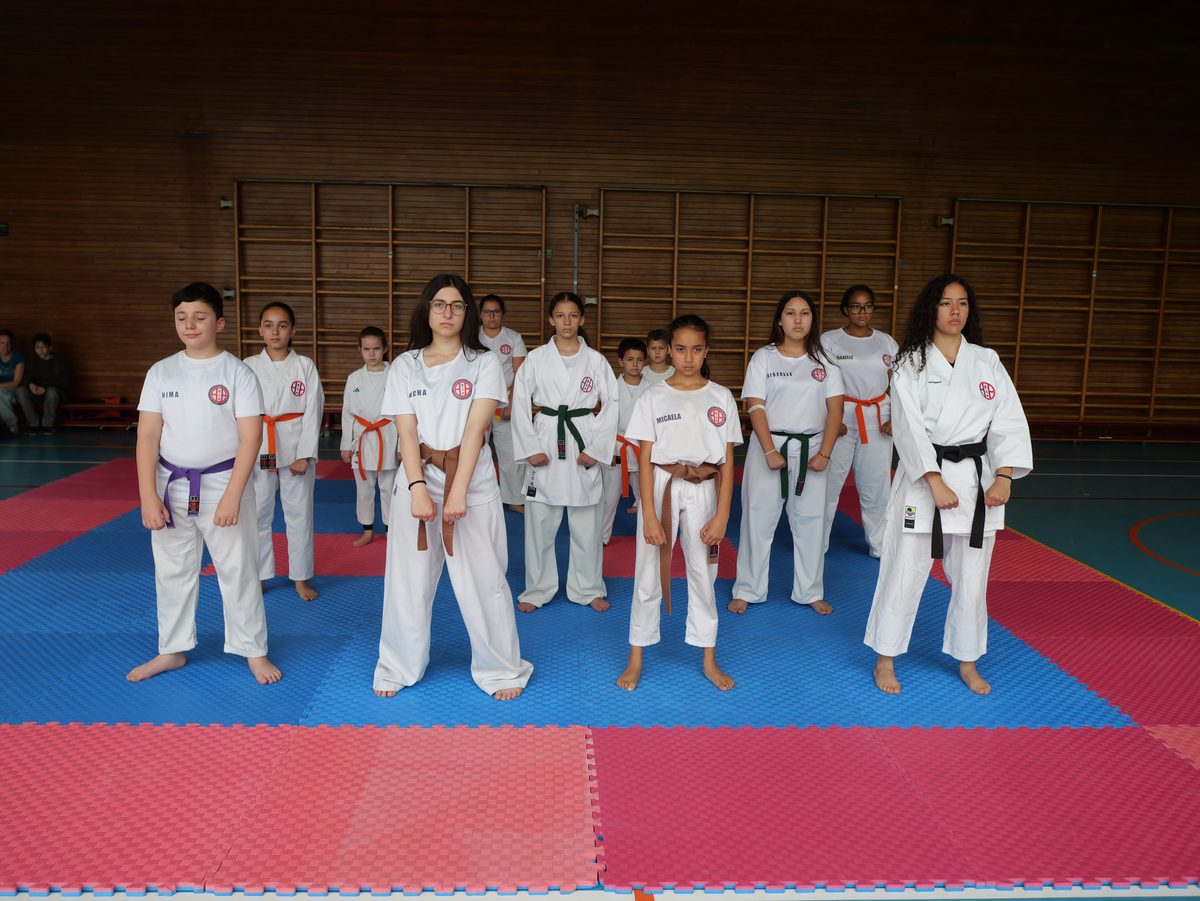Karaté Competitors